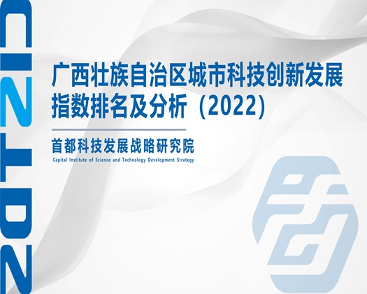 操逼黄色视频免费【成果发布】广西壮族自治区城市科技创新发展指数排名及分析（2022）